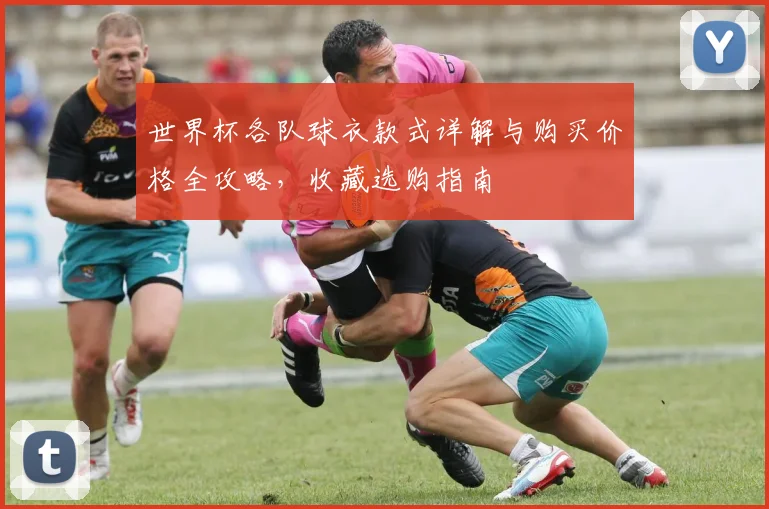 世界杯各队球衣款式详解与购买价格全攻略，收藏选购指南